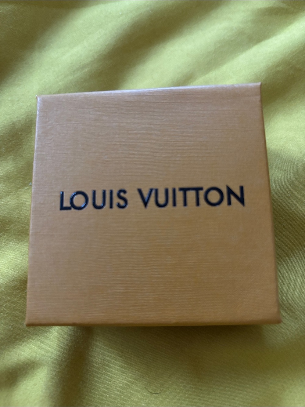 Louis Vuitton Earrings w/Box